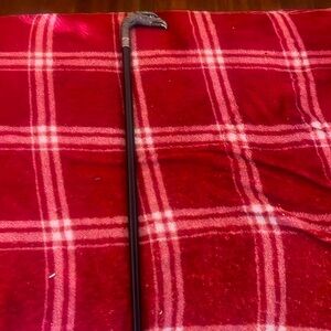 Blue eyed raven cane